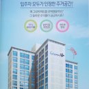 그린(224) 이미지