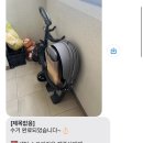 유모차카시트세탁 뽀송 인천점 이미지