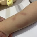 씨유 운정하늘구름점 | 뱀파이어로부터 안전한 파주 놀이구름 43개월 아기랑 평일 방문