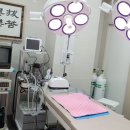 탑 동물병원 이미지