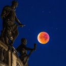 CW-1200-01 이미지