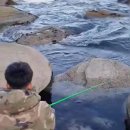 성경공인중개사사무소 이미지