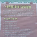 강원.강릉 겨울에도 갈수 있는 관광농원 뒷뜨루