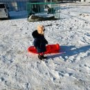 설매농장 이미지