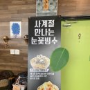 가비오타(GAVIOTA) 이미지