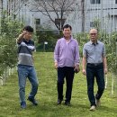 김상민아가리쿠스 이미지