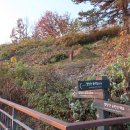 황금내근린공원 이미지