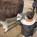 그루밍154 이미지