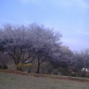 삼미사 이미지