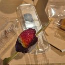 스마트에어돔 화장실 | 익숙하고 새로운 도쿄 여행 1-2일차 [신주쿠, 딸기모찌, 아디다스, 프렌치토스트, 도쿄돔, 🍏]