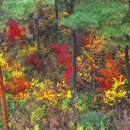 계절그리기 이미지