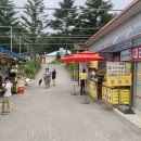 방림목장 이미지