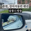 살롱 드 방동 이미지