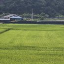 송이네민박 이미지