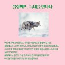 염소아저씨 이미지