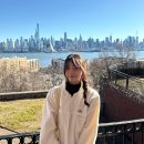 (주)엠앤엠디자인 | 1월 뉴욕