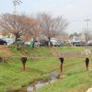 홍주천막사 이미지