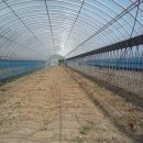 엄지흑염소농장 이미지