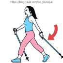 전신 걷기 운동 노르딕 워킹 이미지