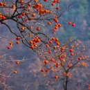 영동군_여성회관_예식장 이미지