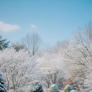 경상목장 | 겨울 감성 폭발｜2월 국내 2박3일 여행 완전 정복