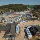 신월동054 | [경상북도 영천시] 영천한약축제
