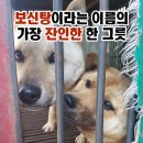 날씨는 춥지만 1월 14일 '개.고양이 식용없는 평창 동계올림픽' 집회는 진행합니다. 이미지