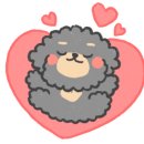 하얀강아지&고양이 이미지