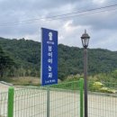 봄이야 놀자 이미지