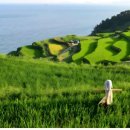 남해-269 이미지