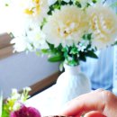 무무이(mumui)
