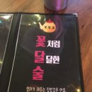 꽃달술 네이버블로그
