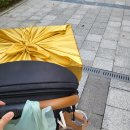 황토방전원주택수지네집 이미지