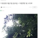 두시카페공방 네이버블로그