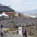 화개농원 이미지