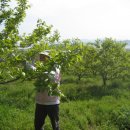 자연 농원 이미지