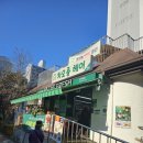 지에스더프레시강선