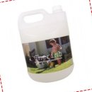 체리쉬퍼피 이미지