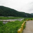 하천(갑천2) 이미지
