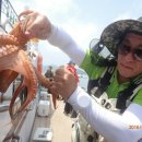 피쉬헌터 이미지