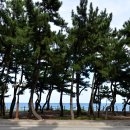 송정해변길 이미지