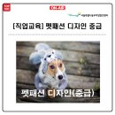 패션디자인(중급) 네이버블로그