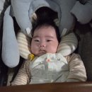 대전아쿠아리움 이미지