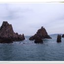 홍도마트