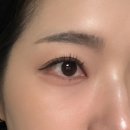 선릉 속눈썹 :: 그린룸 속눈썹 클래식 연장 만족 후기