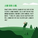 하이버디 이미지