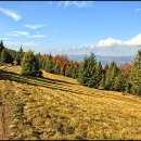 보드게임 지도사 이미지