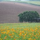 효감천농장 이미지