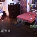 라벤더 민박 이미지