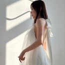 위브스냅